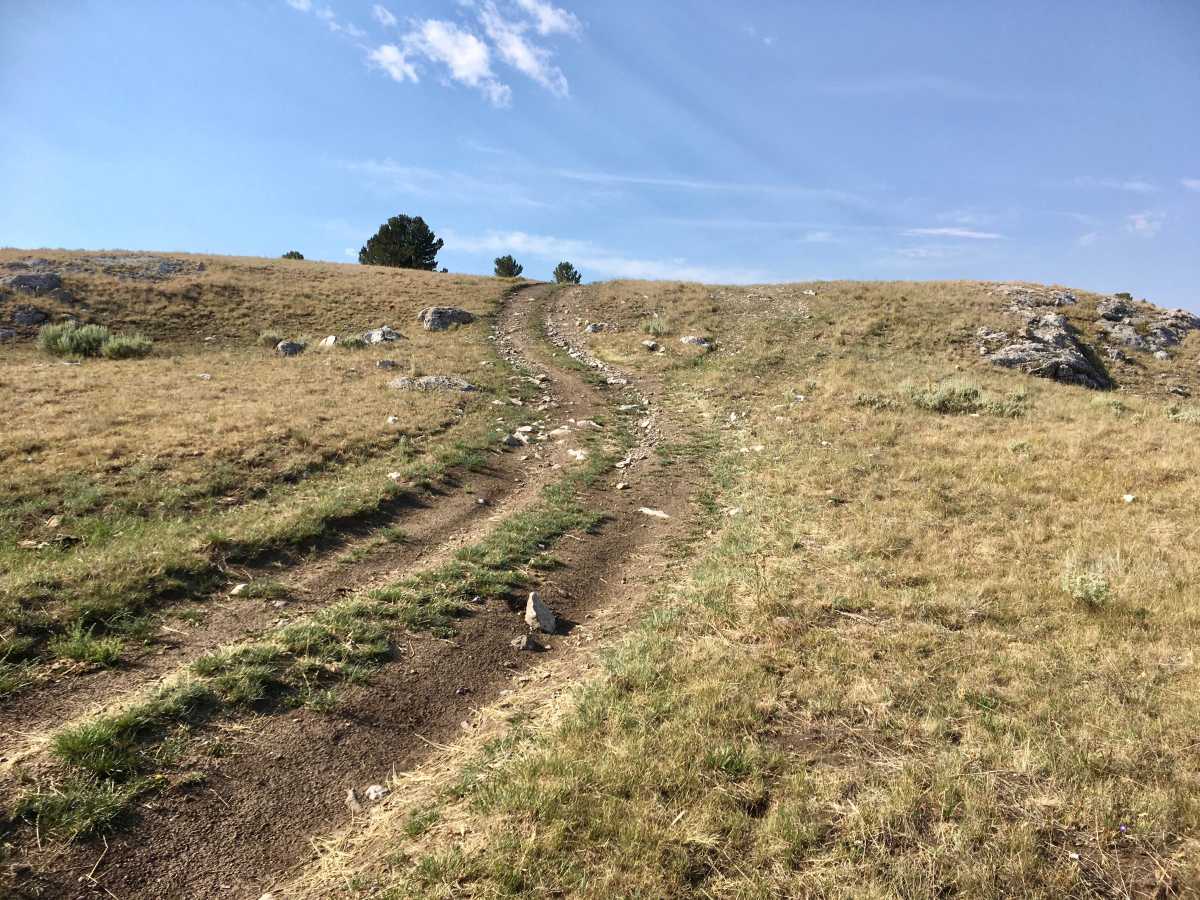 West Fork Ridge Road trail photo