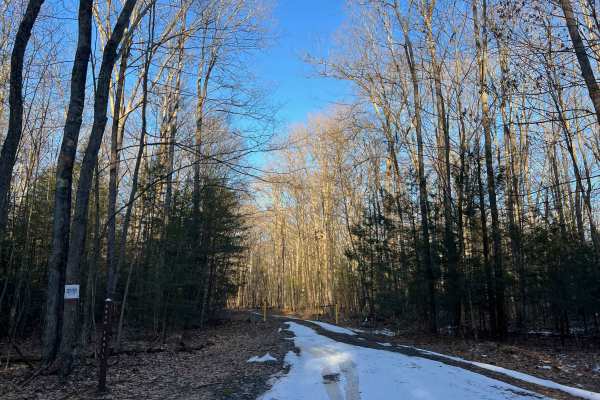 Snow Trail