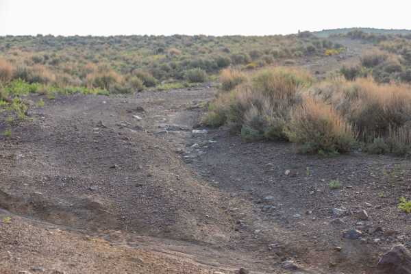 Rock Garden