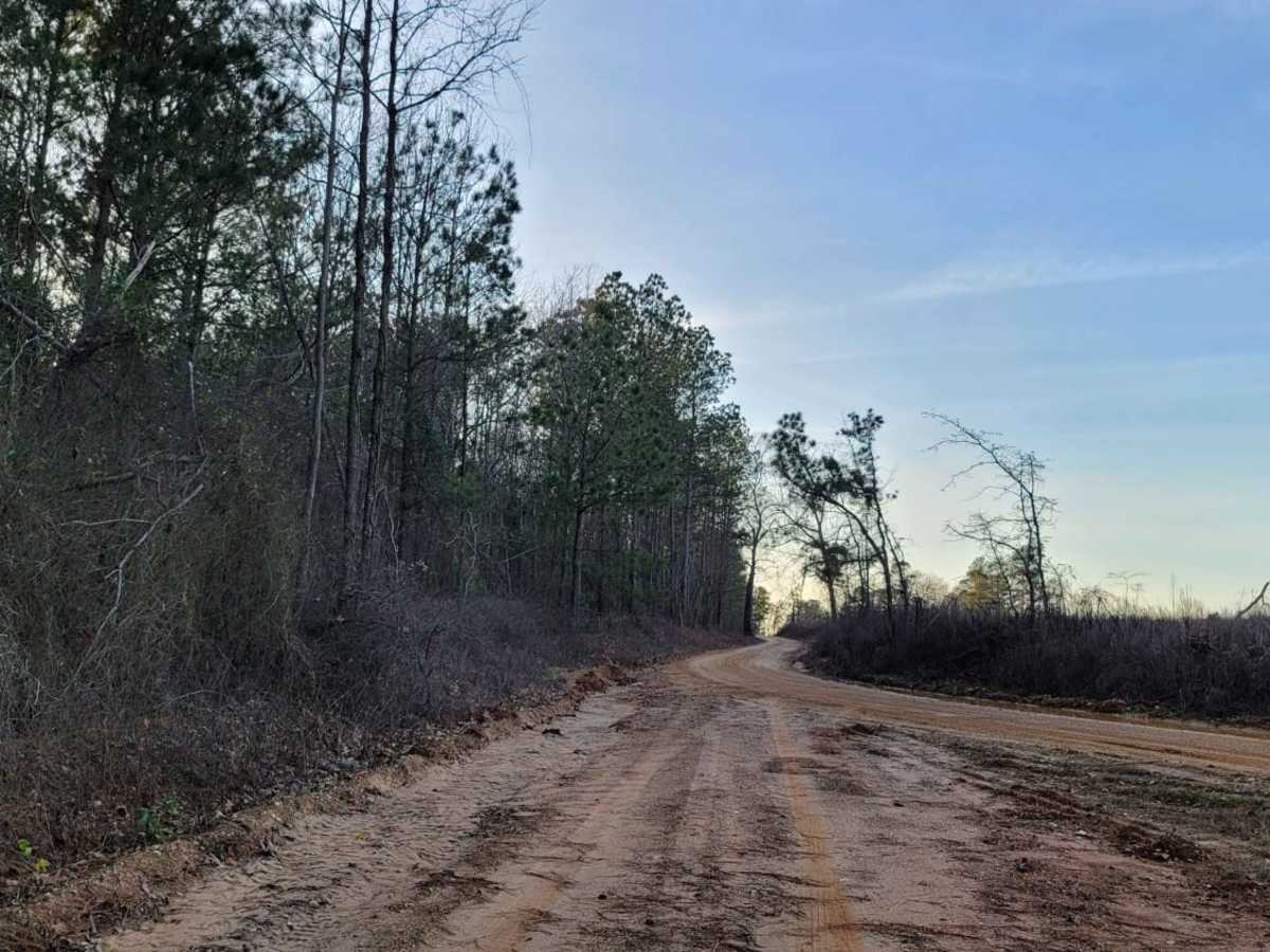 Country Route to White Oak Lake Group Campsite photo 4