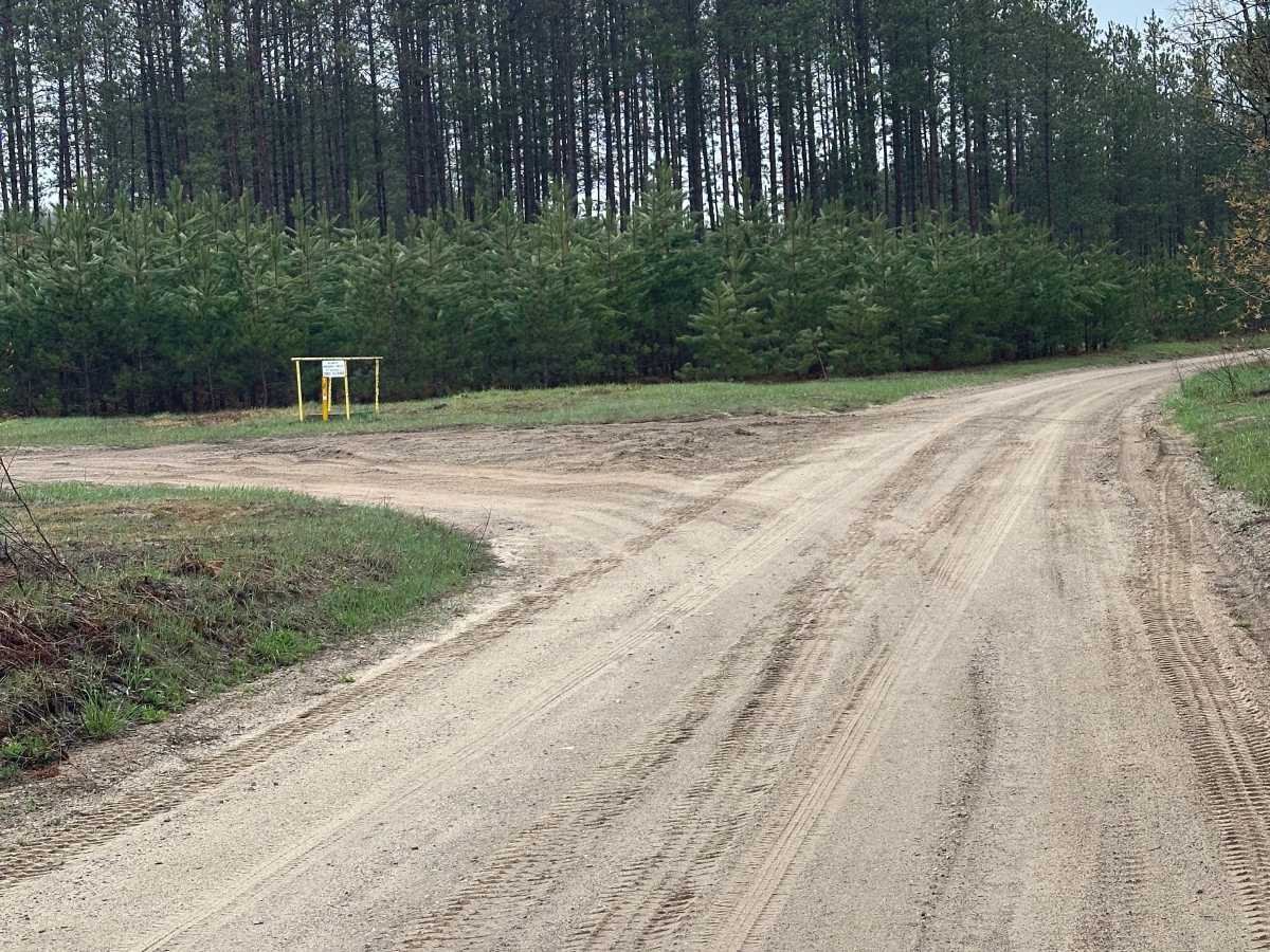 Lynn Lake Road photo 5