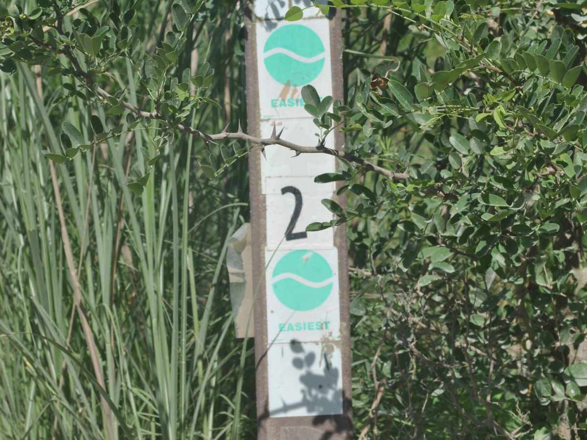 2 trail photo