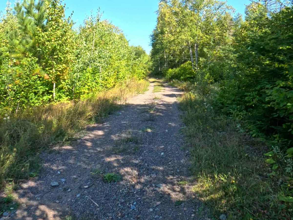 FS 174A trail photo