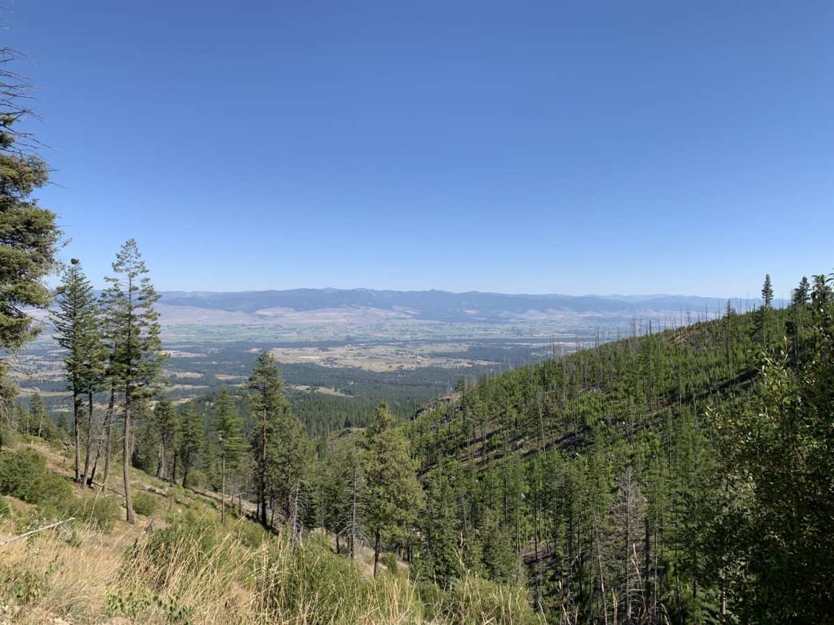 Bear Creek Overlook Trail photo 4