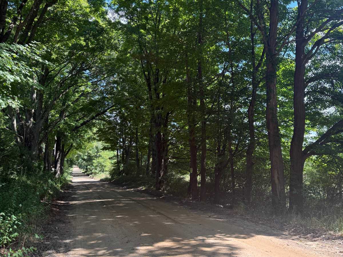 Glenn West Trail trail photo