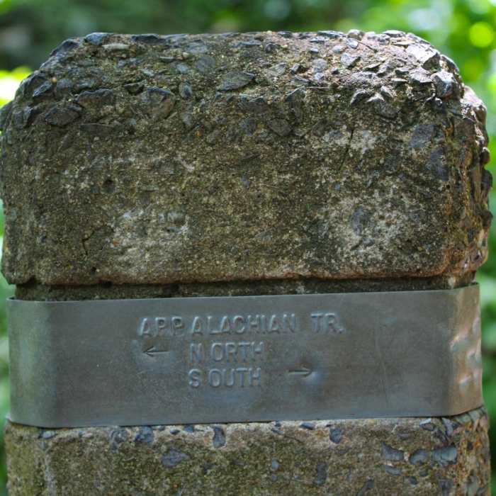 Near Bearfence Loop Trail