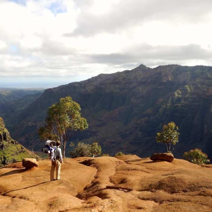 Near Waipo'o Falls via Canyon Trail from Pu'u Hinahina Near Waipo'o Falls via Canyon Trail from Pu'u Hinahina