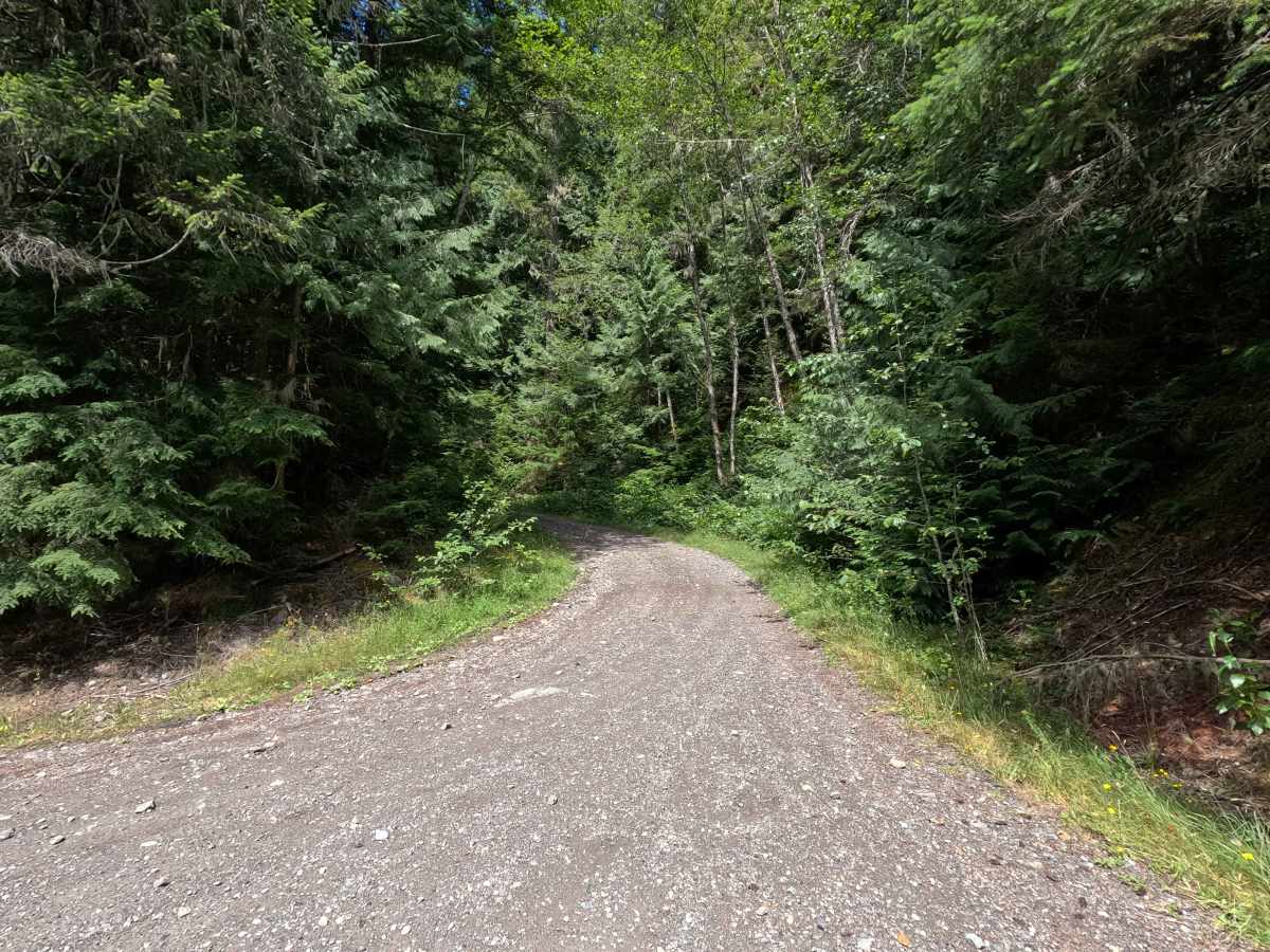 W-1000 trail photo