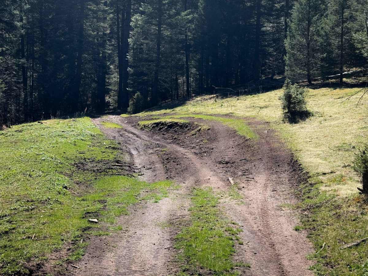 Benson Canyon Spur - FS 5005B  photo 3