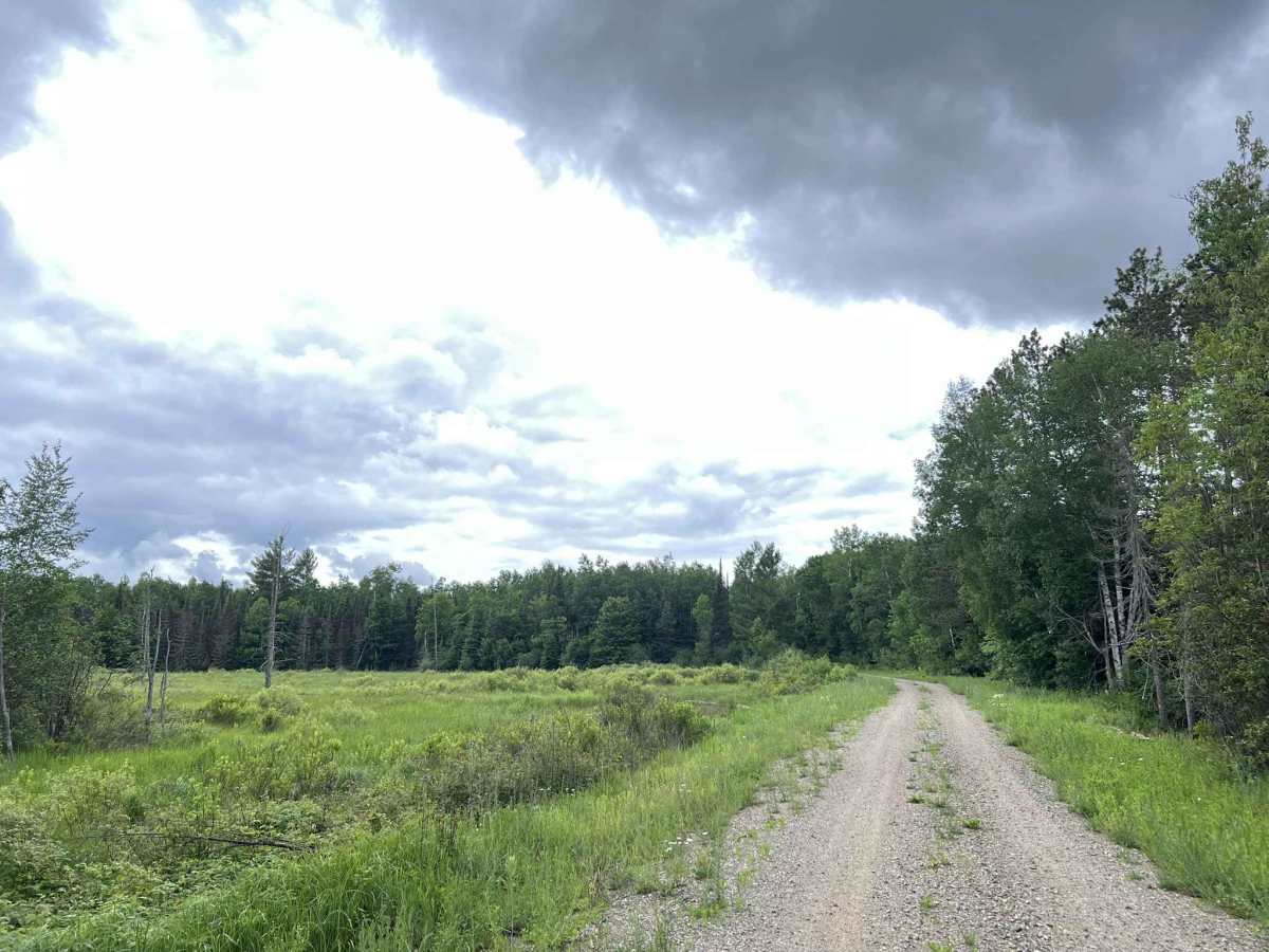 FS 2376 photo 4