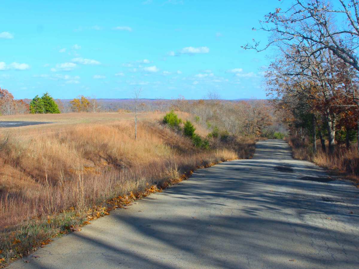 Frank Bay Road - ICR 1 photo 2