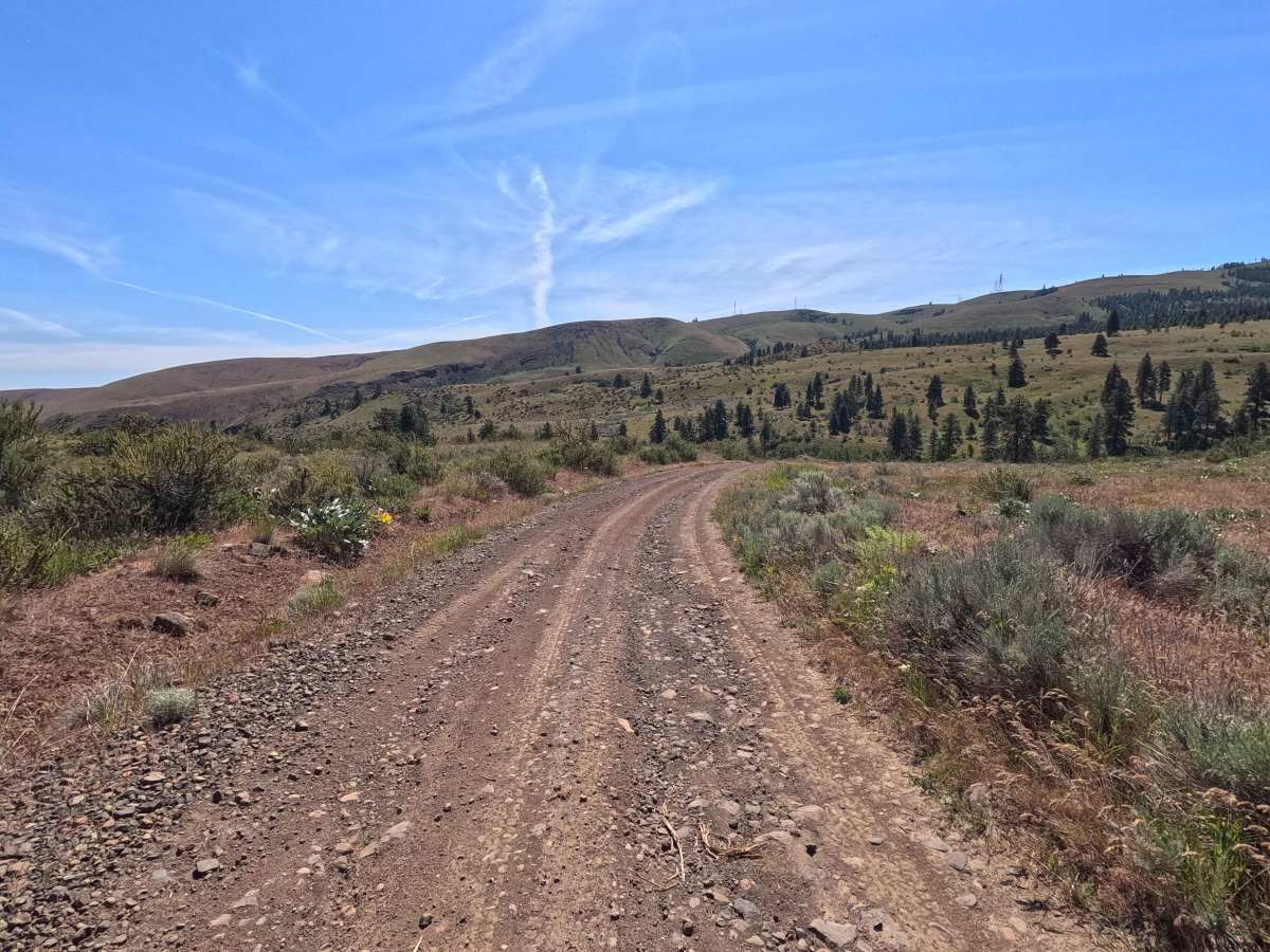 Moses Carr Road photo 3