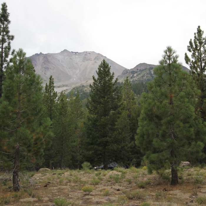 Near Devastated Area Interpretive Trail