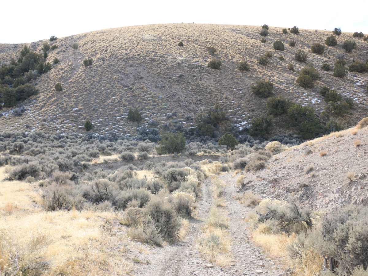 Ripple Valley Road 2.0 photo 5