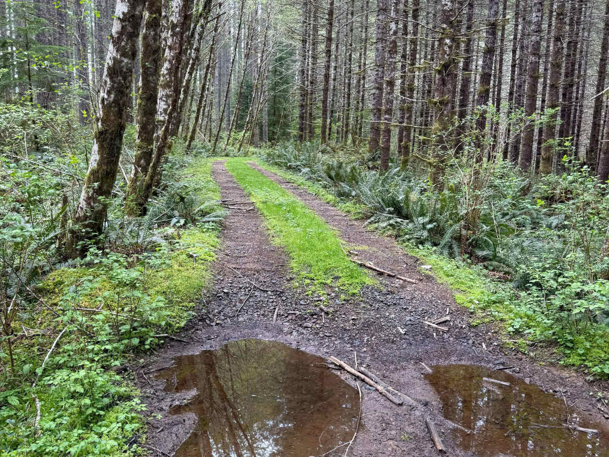 Nook Road trail photo