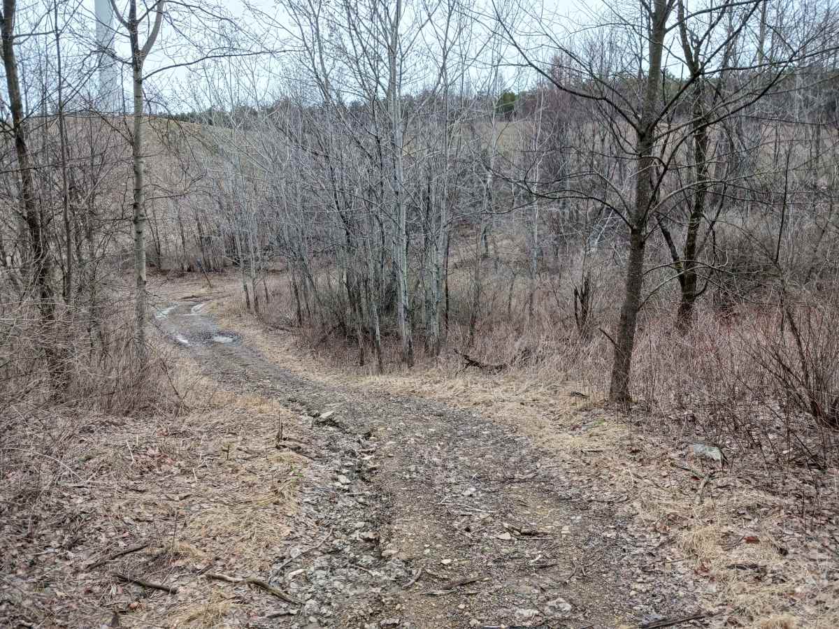 Trail 4L - Rock Run Recreation Area photo 4
