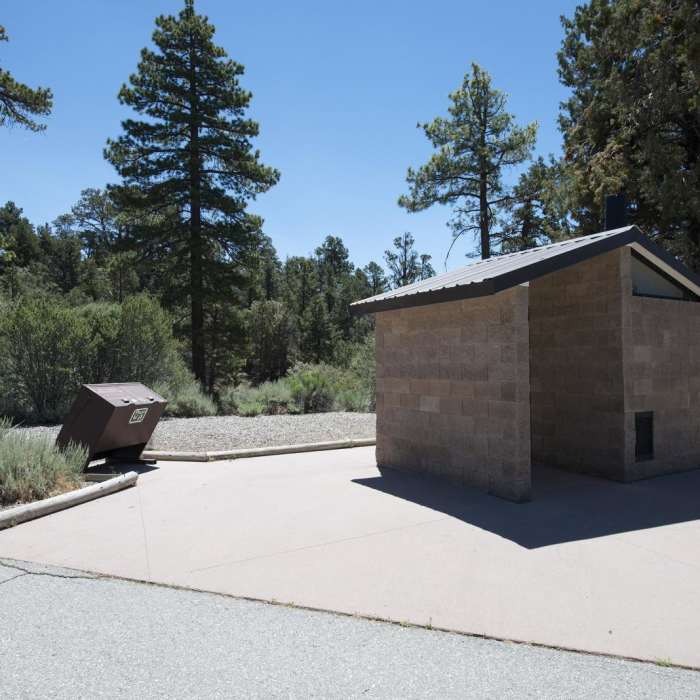 Near Cougar Crest Trail