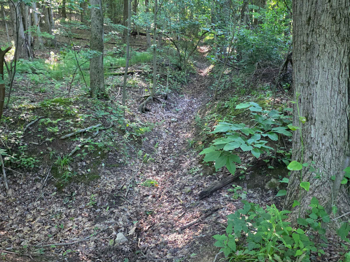 Single Track C1 trail photo