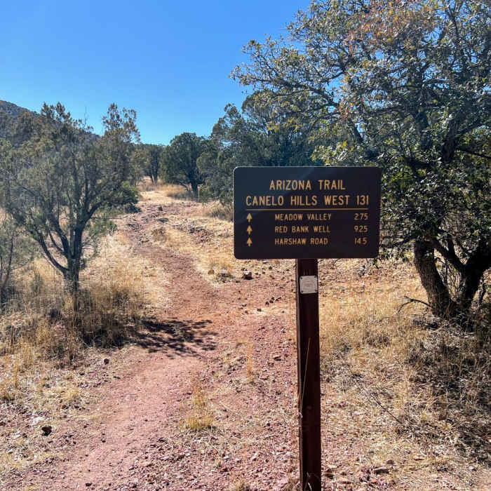 Near Canelo Hills Loop
