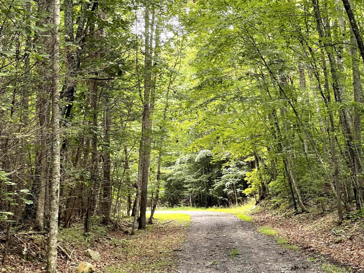Garden Mountain Road photo 2