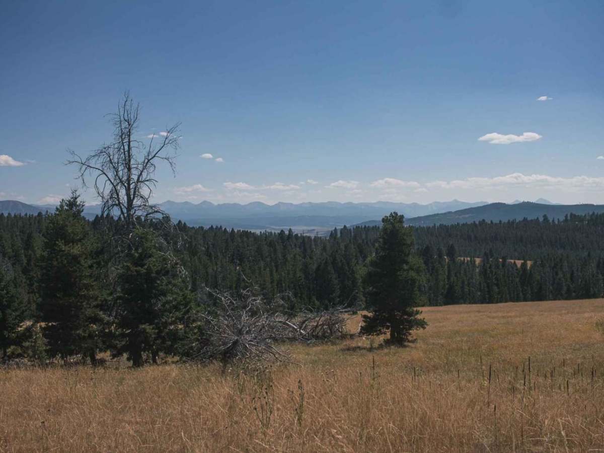 Marshall Creek trail photo