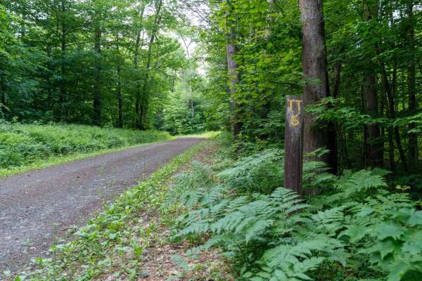 Truck Trail 6