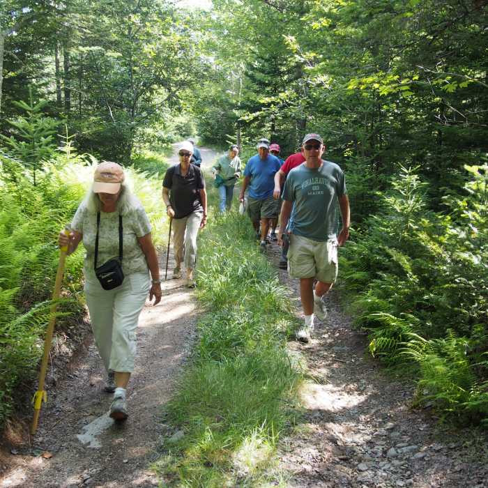 On the trail Near Watershed Trail
