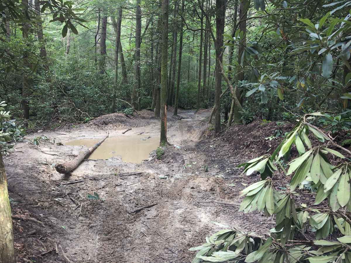 Renfro Loop photo 3