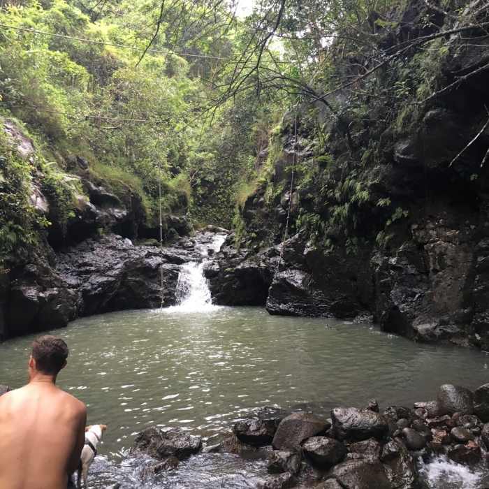 You can barely see the rope swing in the middle of the pool. It gets about 6.5 feet deep. Near Waimano Falls