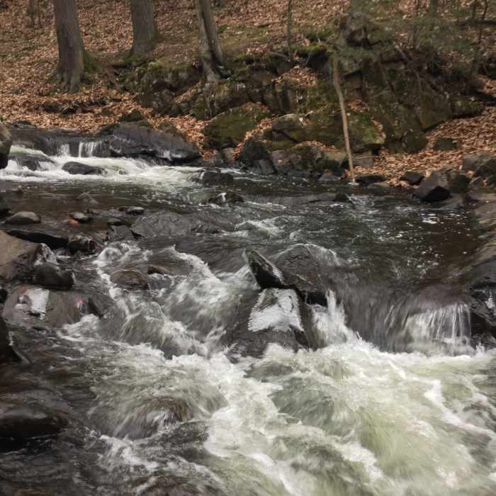 Black River Near Riverside Trail (Red)