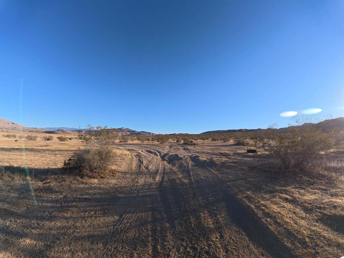 BLM SV2607 photo 4