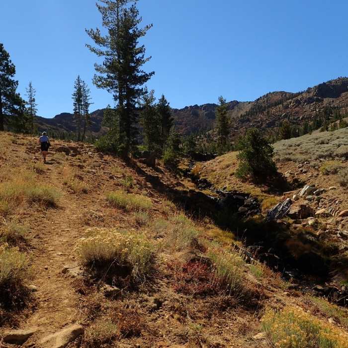 Near Little Mill Trail #5572