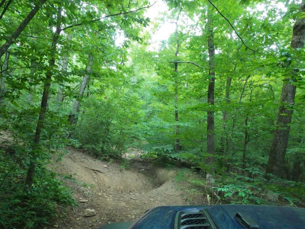 Frog Bayou photo 5