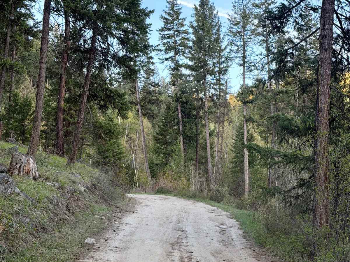 Harper Lake Road trail photo