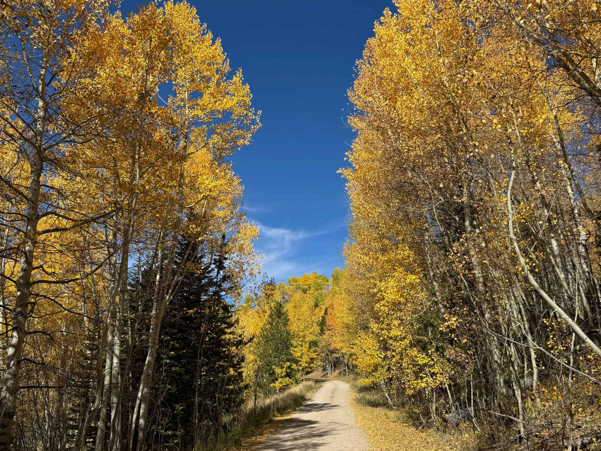 Iron Mountain Road photo 2
