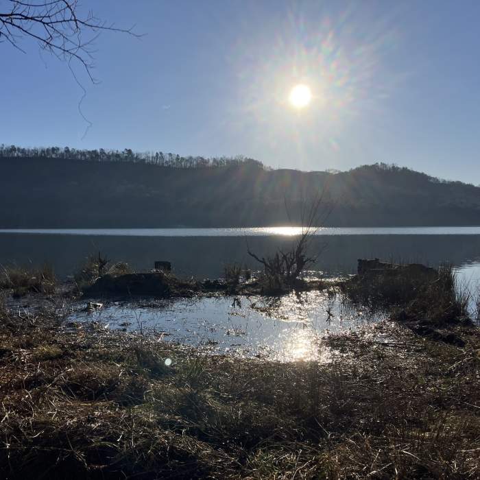 Near Haig Mill Lake loop