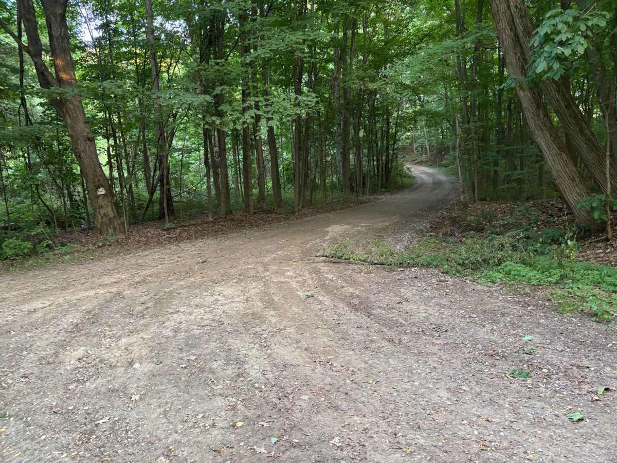 Williams Road trail photo