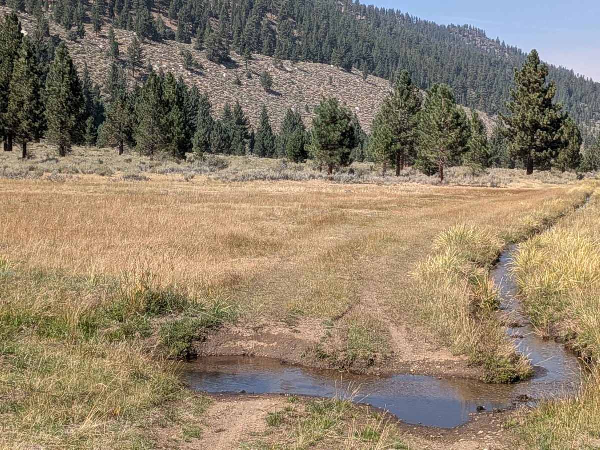LaBrosse Creek Road - FS 32176 photo 2