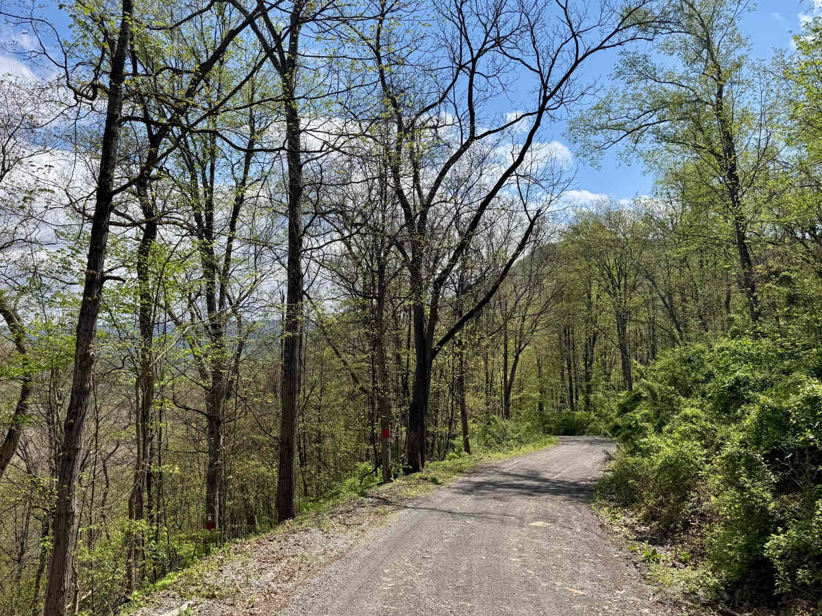 Corbin Road photo 4