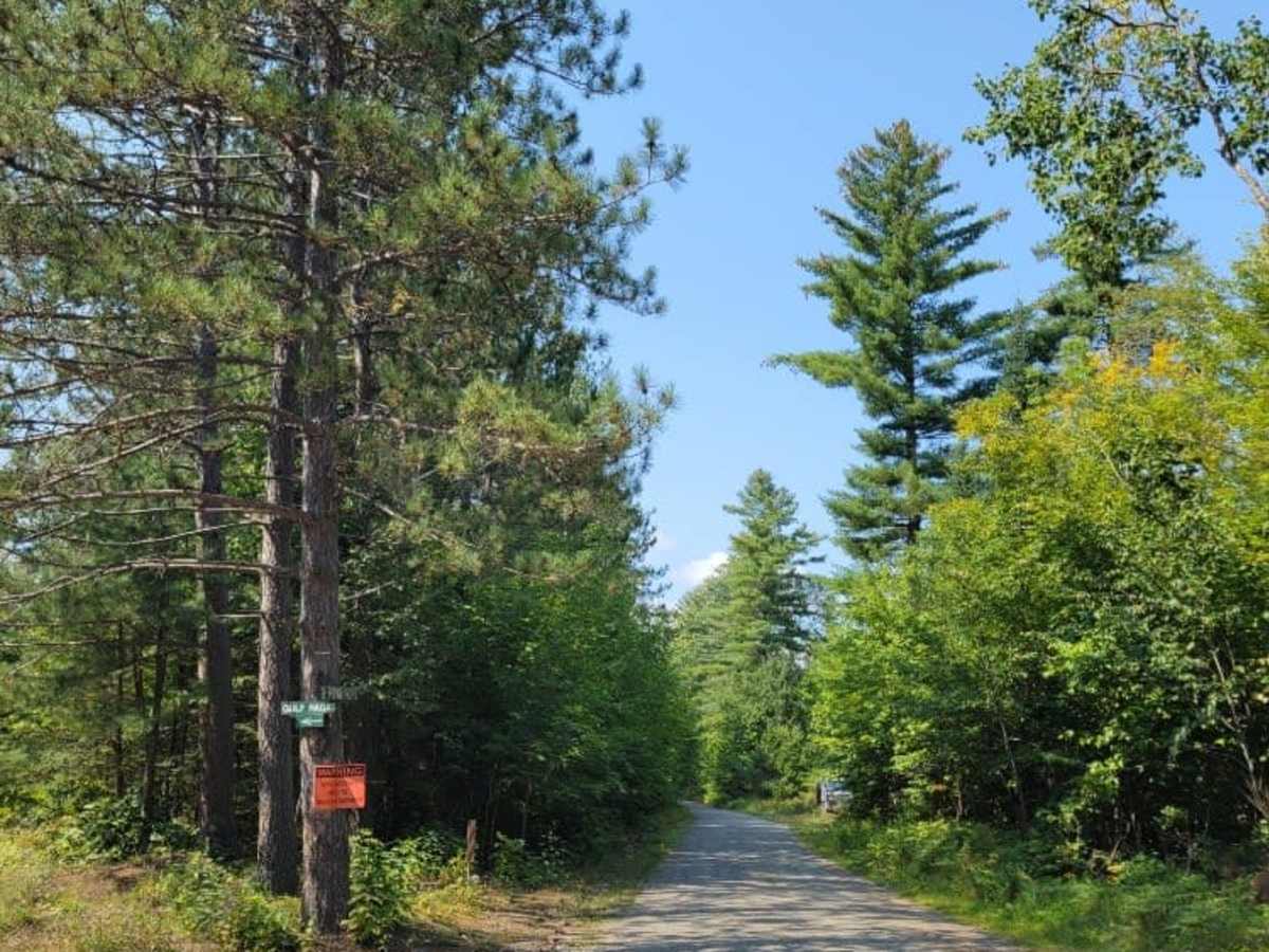 Big White Brook - Campsites photo 4