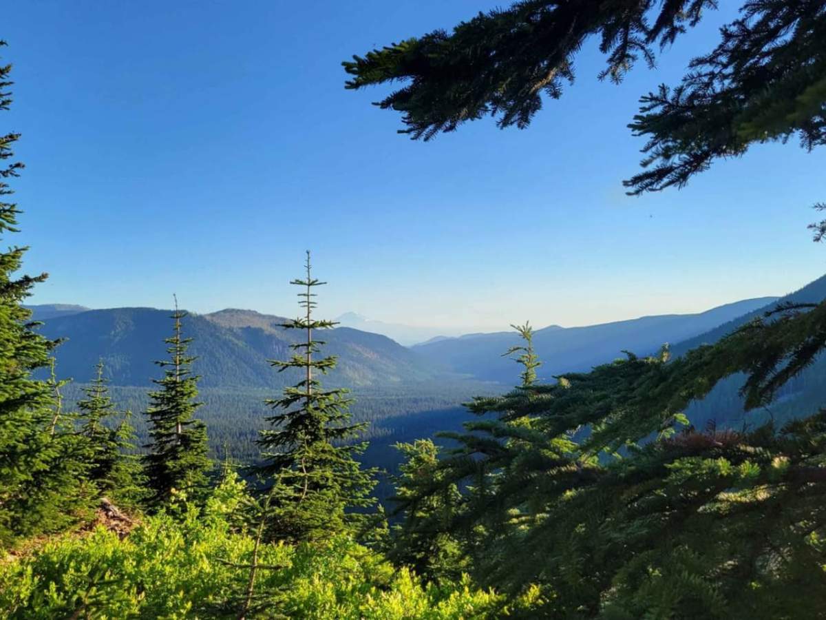 Bennett Pass 2 photo 2