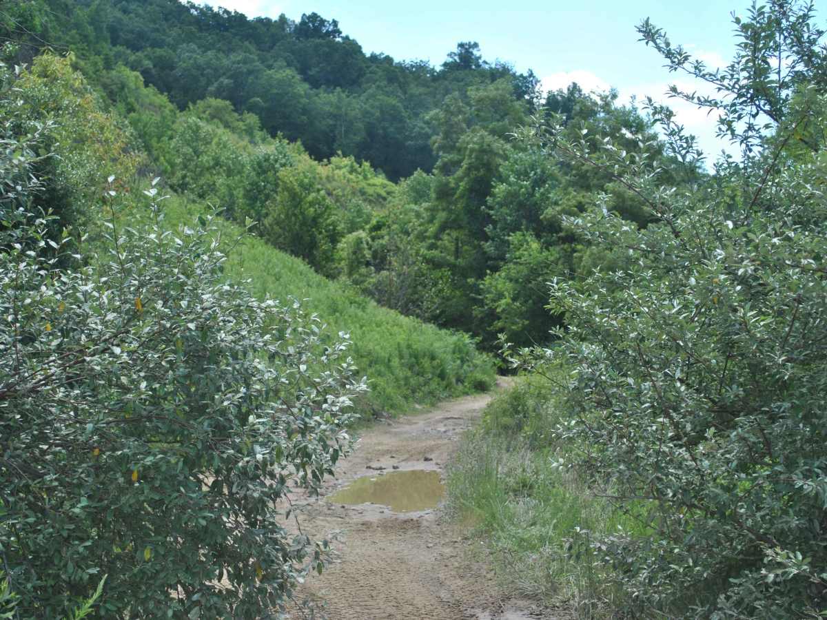 10 photo 2