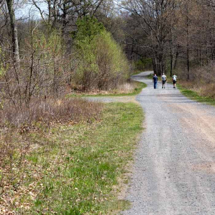 Near Tank Hollow Trail Near Tank Hollow Trail
