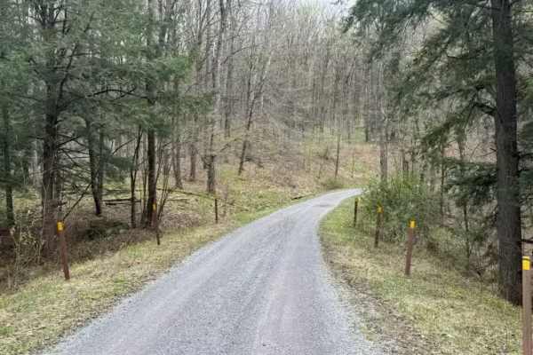 North Branch Sugar Run - FS 271