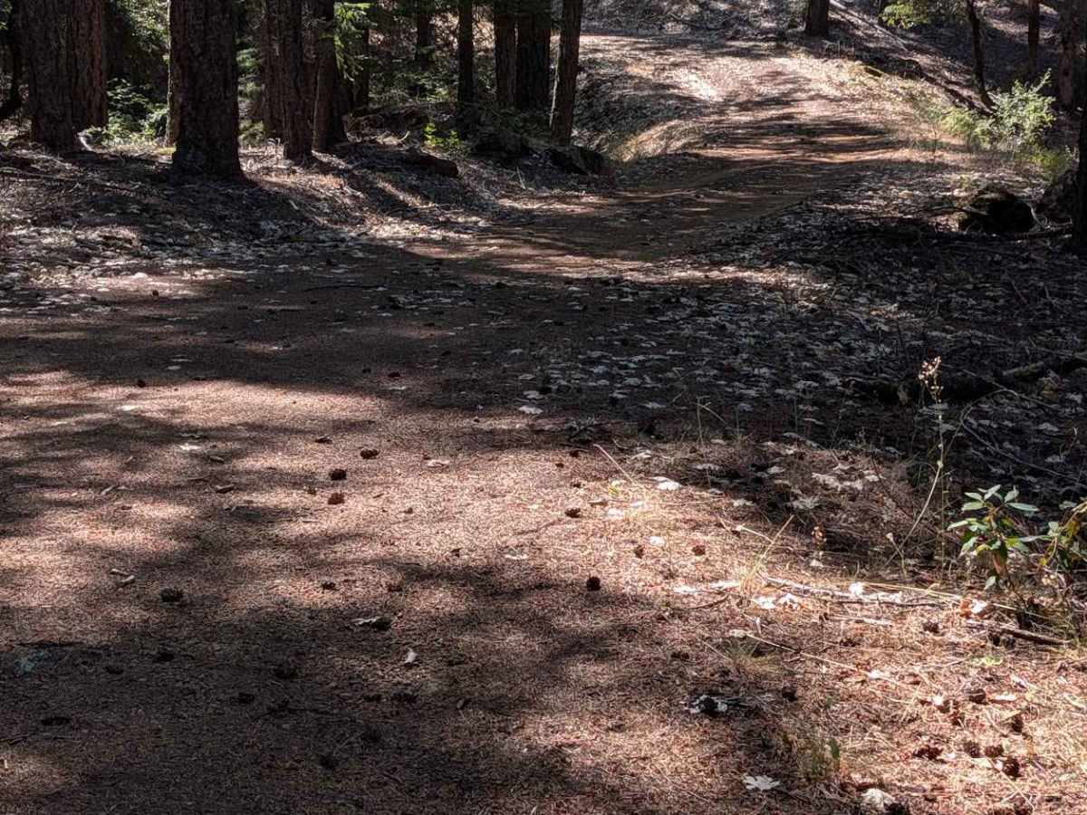 Friend Lake Road - FS 1N35 photo 3