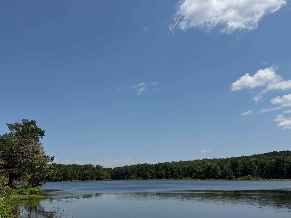 Driver Creek Boat Ramp photo 5