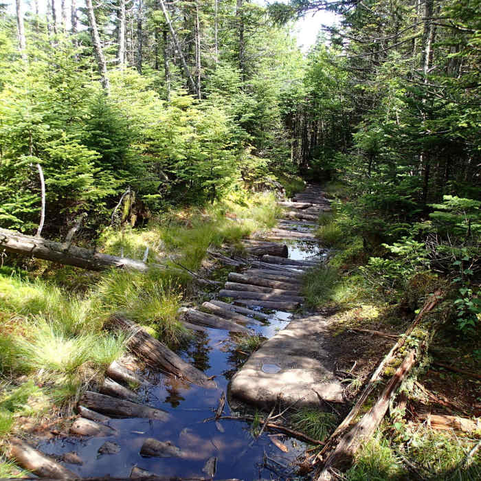 Near Wilmington to Whiteface Mountain Trail #82