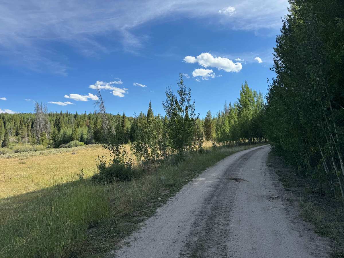 FS 103 trail photo