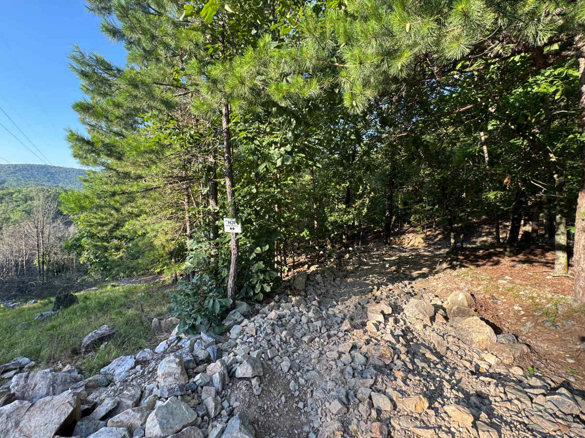 H31 Over the Hill photo 3
