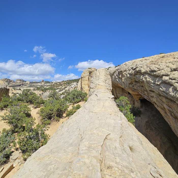 Near Moonshine Arch Trail